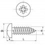 Vis Parker Tête cylindrique Inox Marine