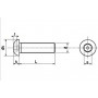 Vis Métaux Inox Anti-Vandalisme Tête Bombée Six Pans Creux