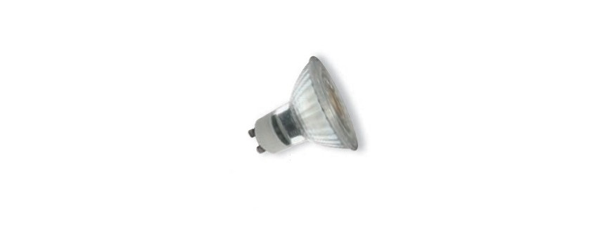 Ampoules LED