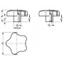 Bouton taraudé tôle inox finition aspect sablé forme étoile 3 tailles