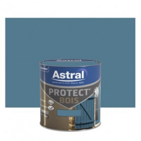 Protect Bois Satin 0.5l Ciel d'Orage