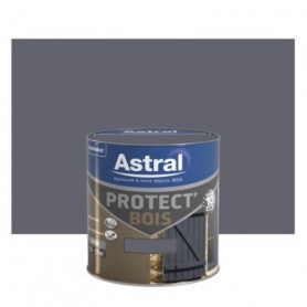 Protect Bois Satin 0.5l Minerai