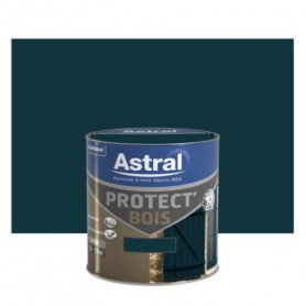 Protect Bois Satin 0.5l Vert Basque
