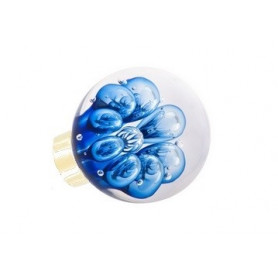 bouton de porte bulles de fleur Bleu Laiton