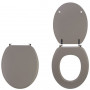 L'abattant de toilette ou WC Colors Line taupe mat