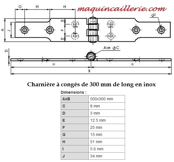 Cotes de la charnière à congés inox de 300 mm