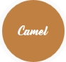 Couleur de teinture Camel