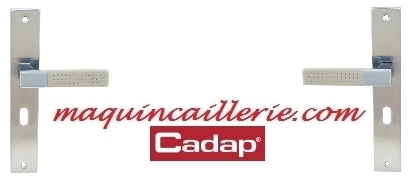 Logo Cadap sur ensemble de porte Elysée