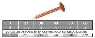 Pointes en cuivre à tête large pour ardoises